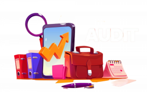 Comprehensive Brand Audits